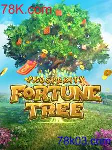 Desvendando ProsperityFortuneTree: Uma Nova Aventura em 78K.com